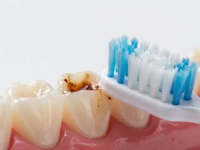 Bělící zubní pasta: Jak skutečně ovlivňuje barvu zubů a co očekávat?